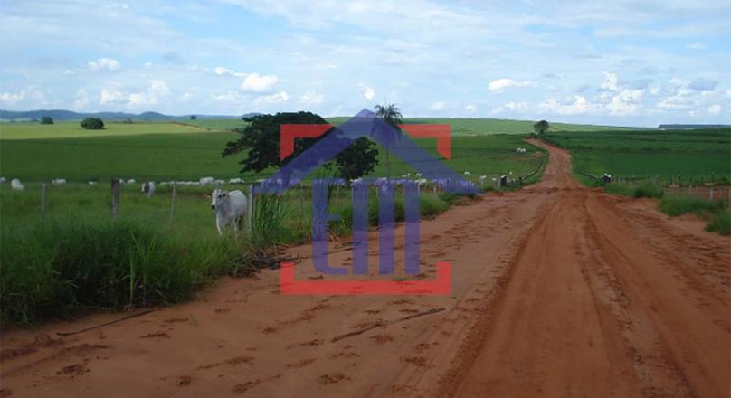 Fazenda dos sonhos - Na região de Ourinhos