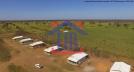 Fazenda 10.500 Hectares - MT